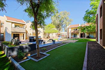 Picnic areas with bbq grills